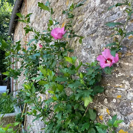Chateau De La Robiniere Minimun 2 Nuitees